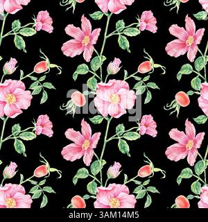 Motif rose sauvage rose sans couture sur tige avec illustration aquarelle de feuillage sur noir. Imprimé fleur de rose imprimé dessin botanique dessiné à la main pour l'impression o Banque D'Images