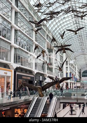 Installation artistique Flight Stop de Michael Snow avec Canada Geese à l'intérieur du centre commercial Toronto Eaton Centre en Ontario, Canada. Banque D'Images