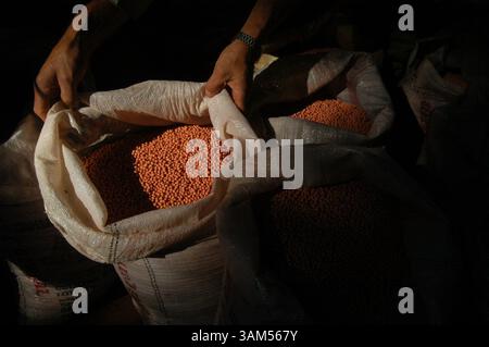 18 novembre 2004 - États-Unis - KRT WORLD NEWS STORY SLUGGED : FARM-SOYBOOM KRT PHOTOGRAPHIE DE DIEGO GIUDICE/KRT (10 décembre) Valdir Ahlert montre un sac de graines de soja génétiquement modifiées dans sa ferme de Carazinho, au Brésil, en septembre 2004. Un boom du soja balaye l'Amérique du Sud comme une ruée vers l'or, amenant les agriculteurs qui ont attrapé la fièvre à labourer et planter au clair de lune, spéculer dans les marécages et rêver de canaux contenant du soja depuis l'intérieur vaste et fertile du continent jusqu'aux ports de l'Atlantique et du Pacifique. (gsb) 2004 (diversité) (crédit image : © Diego Giudice/mct/ZUMAPRESS.com) Banque D'Images