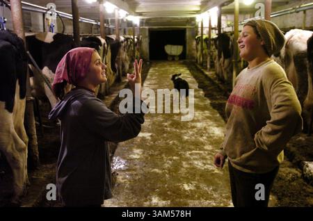 18 novembre 2004 - États-Unis - KRT US NEWS STORY SLUGGED : DAIRY KRT PHOTO PAR PETE SOUZA/CHICAGO TRIBUNE (6 janvier) les sœurs Olivia, à gauche, et Elizabeth Deitelhoff parlent alors qu'elles traient des vaches à la ferme laitière familiale à Cazenovia, Wisconsin, le 18 novembre 2004. (gsb) 2005 (crédit image : © Chicago Tribune/mct/ZUMAPRESS.com) Banque D'Images