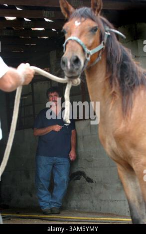 25 mai 2005 - États-Unis - KRT US NEWS STORY SLUGGED : RURALVETS KRT PHOTOGRAPHIE PAR BOBBY COOKER/ORLANDO SENTINEL (MIAMI OUT) (12 juin) le vétérinaire Dr Tony Weirather se prépare à prélever du sang sur un cheval dans une écurie du sud du comté de Lake, Floride, le mercredi 25 mai 2005. (MvW) 2005 (crédit image : © Bobby Cooker/mct/ZUMAPRESS.com) Banque D'Images