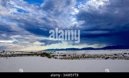 Un orage dramatique se déroule sur les dunes de sable blanc et la brousse du désert sous un ciel éclatant dans un paysage isolé du sud-ouest avant la pluie. Banque D'Images
