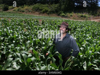 20 juin 2005 - États-Unis - KRT US NEWS STORY SLUGGED : FARM-YOUNGFARMERS KRT PHOTO PAR PATRICK TEHAN/SAN JOSE MERCURY NEWS (19 juillet) Ron Rodriguez se tient dans un champ de maïs sur sa ferme à Watsonville, Californie, en juin 2005. (gsb) 2005 (crédit image : © Patrick Tehan/mct/ZUMAPRESS.com) Banque D'Images
