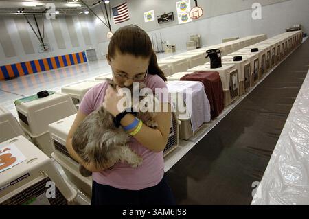 23 octobre 2005 - États-Unis - KRT US NEWS STORY SLUGGED : WEA-WILMA KRT PHOTOGRAPHIE PAR ROBERT DUYOS/SOUTH FLORIDA SUN-SENTINEL (MIAMI OUT) (23 octobre) POMPANO BEACH, FL - Ashley Nickles, 12 ans, tient son schnauzer miniature nommé Junior dans un abri ouragan pour animaux de compagnie à Pompano Beach, Floride, dimanche 23 octobre 2005. (cdm) 2005 (crédit image : © Robert Duyos/mct/ZUMAPRESS.com) Banque D'Images