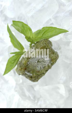 15 juillet 2006 - É.-U. - la sauce pesto préparée avec du basilic frais, des noix de pécan, de l'huile d'olive et du parmesan peut être congelée pour une utilisation ultérieure sur les pâtes, les sandwichs, le poisson ou les toasts. (Renee Ittner-McManus/The State/MCT) (crédit image : © Renee Ittner-McManus/mct/ZUMAPRESS.com) Banque D'Images