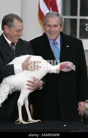 22 novembre 2006 - États-Unis - le président George W. Bush, à droite, regarde Flyer la dinde, tenue par Lynn Nutt, après avoir accordé un pardon à l'oiseau de Thanksgiving dans la roseraie de la Maison Blanche le mercredi 22 novembre 2006. (Chuck Kennedy/MCT) (crédit image : © Chuck Kennedy/mct/ZUMAPRESS.com) Banque D'Images