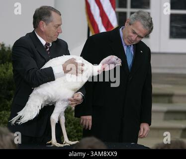 22 novembre 2006 - États-Unis - le président George W. Bush, à droite, regarde Flyer la dinde, tenue par Lynn Nutt, après avoir accordé un pardon à l'oiseau de Thanksgiving dans la roseraie de la Maison Blanche le mercredi 22 novembre 2006. (Chuck Kennedy/MCT) (crédit image : © Chuck Kennedy/mct/ZUMAPRESS.com) Banque D'Images