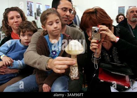 14 janvier 2007 - États-Unis - René Shapiro, à droite, prend une photo tandis qu'Anthony Aiello, en haut au centre, tient un champignon Amanita phalloides mortel pour une conférence de toxicologie lors de la 33e Foire annuelle du champignon au Louden Nelson Center à Santa Cruz, Californie, le 14 janvier 2007. Avec Anthony Aiello sont sa femme Laurie, à l'extrême gauche, et les enfants Chiara, 7 ans, au premier plan, et Gabriel, 4. (David Royal/Monterey County Herald/MCT) (crédit image : © David Royal/mct/ZUMAPRESS.com) Banque D'Images