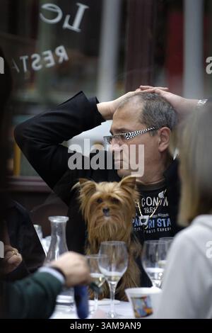 8 avril 2006 - États-Unis - avec son meilleur ami sur ses genoux, un homme non identifié profite d'un déjeuner tranquille au restaurant le Layon sur la rue Mercière dans le quartier de la Presqu'ile à Lyon, en France. (Bill Hogan/Chicago Tribune/MCT) (crédit image : © Bill Hogan/mct/ZUMAPRESS.com) Banque D'Images