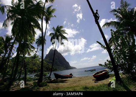 11 février 2006 - États-Unis - Ladera Resort est tout sauf votre station typique des Caraïbes. Plutôt que de rivaliser pour l'immobilier en bord de mer, ses constructeurs fixent leur visée sur une haute crête volcanique, à 300m d'altitude, entre les Pitons jumeaux de Lucia, et surplombant la ville de Soufrière. (Michael Goulding/Orange County Register/MCT) (crédit image : © Michael Goulding/mct/ZUMAPRESS.com) Banque D'Images