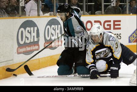 16 avril 2007 - États-Unis - les Sharks de San Jose Patrick Rissmiller (34) se bat pour la rondelle contre les Predators de Nashville Marek Zidlicky (3) dans la première période du match 3 de la première ronde des éliminatoires de la LNH au HP Pavilion à San Jose, Californie, le lundi 16 avril 2007. (Nhat V. Meyer/San Jose Mercury News/MCT) (image crédit : © Nhat V. Meyer/mct/ZUMAPRESS.com) Banque D'Images
