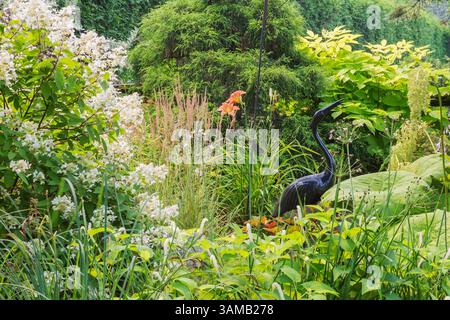 Hydrangea paniculata 'diamant rose', herbe ornementale, Chamaecyparis pisifera - Sawara faux cyprès, Aralia cordata 'Roi Soleil' etc dans la cour avant. Banque D'Images