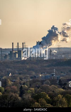 Kokerei Prosper, betrieben vom Stahlkonzern ArcelorMittal,146 Koksöfen mit einer Tagesleistung von 5500 Tonnen Koks, Bottrop, Löschwolke, NRW, Deutschland, Kokerei Prosper *** cokerie Prosper, exploitée par le groupe sidérurgique ArcelorMittal, 146 fours à coke avec une production quotidienne de 5500 tonnes de coke, Bottrop, Löschwolke, NRW, Allemagne, cokéfaction Prosper Banque D'Images