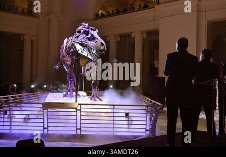 17 mai 2000 - États-Unis - KRT US NEWS STORY SLUGGED : DINOSAUR KRT PHOTOGRAPHIE PAR PHIL VELASQUEZ/CHICAGO TRIBUNE (KRT) CHICAGO, ILLINOIS, 17 mai -- Sue le Tyrannosaurus Rex le plus complet jamais trouvé est dévoilé au Field Museum de Chicago Illinois mercredi. Trouvé dans un ranch amérindien dans le Dakota du Sud en 1990, Sue est à la fois une merveille scientifique et un succès de musée sûr, un fait souligné lorsque le Field Museum a acheté le dinosaure en 1997, pour une offre de 8,36 millions de dollars dans une maison de vente aux enchères Sotheby's New York. (TB) PL BL KD 2000 (HORIZ.) (kn) (crédit image : © Chicago Tribune/mct/ZUMAPRESS.com) Banque D'Images