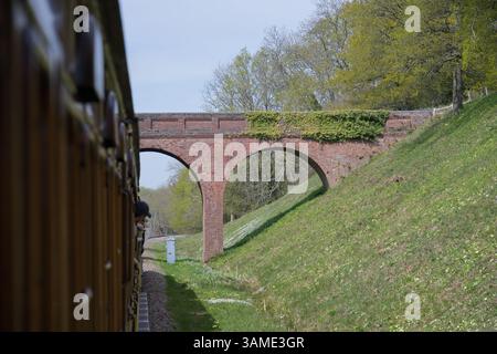 Train à vapeur passant sous un pont - Bluebell Railway - East Sussex UK Banque D'Images