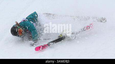 11 février 2014 - Sotchi, RUS - Anna Segal, d'Australie, en slopestyle de ski féminin au Rosa Khutor Extreme Park pendant les Jeux olympiques d'hiver à Sotchi, Russie, le mardi 11 février 2014. (Crédit image : © Brian Cassella/MCT/ZUMAPRESS.com) Banque D'Images