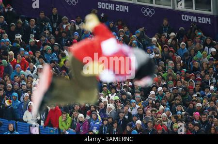 11 février 2014 - Sotchi, RUS - les fans regardent la finale de demi-lune masculine au Rosa Khutor Extreme Park pendant les Jeux olympiques d'hiver à Sotchi, Russie, le mardi 11 février 2014. (Crédit image : © Brian Cassella/MCT/ZUMAPRESS.com) Banque D'Images
