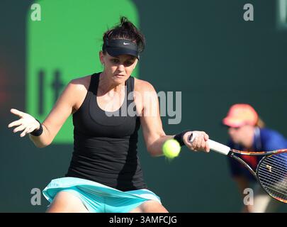 23 mars 2014 - Miami, Floride, États-Unis - L'australien Casey Dellacqua remet le ballon à l'américaine venus Williams lors du tournoi de tennis Sony Open à Key Biscayne Fla., le dimanche 23 mars 2014. (Crédit image : © David Santiago/MCT/ZUMAPRESS.com) Banque D'Images