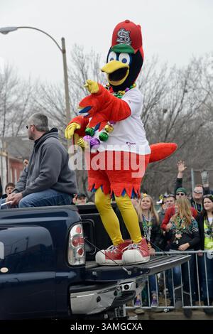 Mars 1, 2014 - créé Louis, Missouri, U. S - Fredbird des produits Louis Cardinals lors de la célébration mardi gras 2014 en produits Louis MO où le thème du défilé de cette année était de célébrer les produits Louis à ses 250 ans. (Crédit image : © Richard Ulreich/ZUMAPRESS.com) Banque D'Images