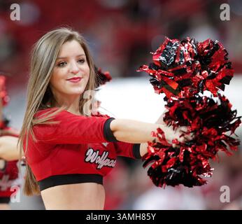 26 janvier 2014 - Raleigh, Caroline du Nord, U. S - Une cheerleader Wolfpack de Caroline du Nord acclame pendant le jeu à la PNC Arena de Raleigh, N.C. entre le Wolfpack de Caroline du Nord et les Jackets jaunes Georgia Tech. (Crédit image : © Wes Hight/ZUMAPRESS.com) Banque D'Images