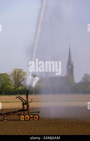 Irrigation artificielle d'un champ, fraîchement semé, en avril, avec un système d'arrosage, une longue sécheresse au printemps rend cela nécessaire pour que la jeune plante Banque D'Images