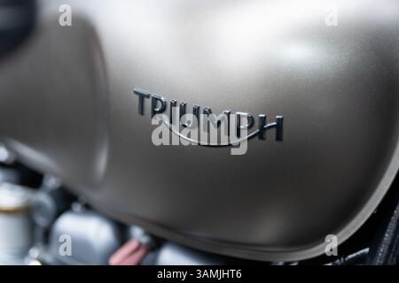 Filderstadt, Allemagne. 13 avril 2025. Le logo du fabricant de motos britannique Triumph peut être vu sur une moto lors de la journée portes ouvertes du concessionnaire de motos Limbächer. Crédit : Silas Stein/dpa/Alamy Live News Banque D'Images