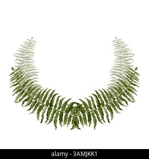 Couronne de feuilles de fougères. Grandes feuilles sculptées. Composition ronde d'herbes. Cadre de plantes. Illustration aquarelle sans fond. Dessin à la main. Banque D'Images