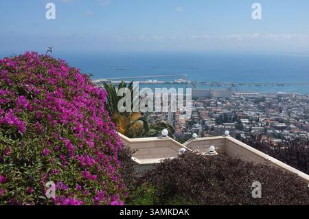14 mai 2014 - Haïfa, Israël - le temple et les jardins Bahai, conçus par l'architecte canadien William Sutherland Maxwell, et achevés en 1953, décorent le versant du Mont Carmel surplombant la ville, le port et la Méditerranée. Le sanctuaire au dôme d'or abrite les restes de Bab, un persan martyrisé en 1850, qui annonça qu'il avait été envoyé par Dieu pour préparer l'humanité à un nouvel âge et à l'apparition imminente du Bahaullah, un messager de Dieu encore plus grand que lui. (Crédit image : © Nir Alon/ZUMAPRESS.com) Banque D'Images