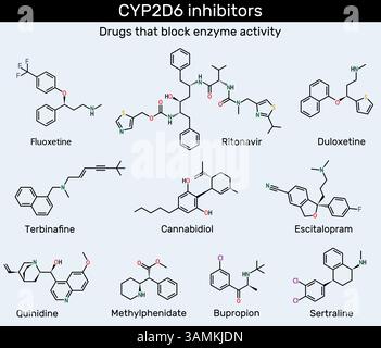 Inhibiteurs du CYP2D6. Terbinafine, cannabidiol, escitalopram, fluoxétine, quinidine, duloxétine, sertraline, bupropion, méthylphénidate, ritonavir moléculaire Illustration de Vecteur