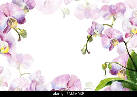 fleurs d'orchidée rose et violet aquarelle, bourgeons et feuilles vertes, plante tropicale dessinée à la main, croquis floral de fleurs de fleur, illustration botanique Banque D'Images