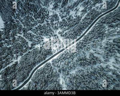 Vue aérienne des arbres blancs et rue diagonale à Courchevel, France. Banque D'Images
