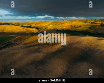 Vue aérienne des cyprès et des collines ondulantes au coucher du soleil, San Quirico d'Orcia, Italie. Banque D'Images