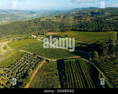Vue aérienne de beaux vignobles et collines ondulantes dans un paysage ensoleillé, Greve in Chianti, Italie. Banque D'Images