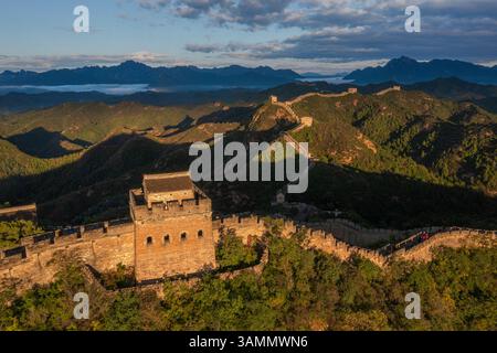 Vue aérienne de la majestueuse Grande Muraille de Jinshanling au milieu de montagnes pittoresques et de forêts luxuriantes, Chengde, Chine. Banque D'Images