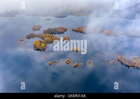 Vue aérienne de l'île de Kizhi, République de Carélie, district de Medvezhyegorsky, Russie. Banque D'Images