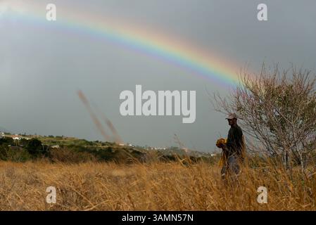 Apr 16, 2013 - Saint-Denis, Île de la Réunion, France - coucher de soleil avec fond arc-en-ciel. Un cow-boy s'occupe de ses vaches. A la Réunion, ses paysages magnifiques, sa nature préservée et ses magnifiques possibilités de randonnée ont donné une renommée internationale. Mais la rencontre, située à l’est de Madagascar dans l’océan Indien, est aussi une île qui a profité de leurs différentes influences. (Crédit image : © Sergi Reboredo/ZUMA Wire/ZUMAPRESS.com) Banque D'Images