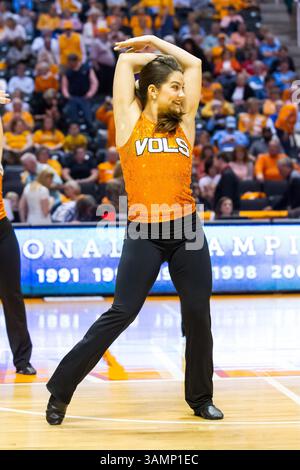 20 février 2014 - Knoxville, TN, États-Unis - 20 février 2014 : L'équipe de danse UT se met en scène pendant le match de basket-ball de la NCAA entre les Lady vols de l'Université du Tennessee et les Auburn Tigers au Thompson-Boling Arena de Knoxville, TN(crédit image : © photographe :Tim Gangloff/Cal Sport Media/ZUMAPRESS.com) Banque D'Images