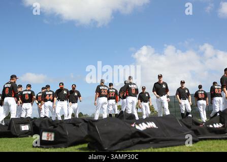 20 février 2014 - Jupiter, FL, USA - les Marlins de Miami lors d'un entraînement de printemps au Roger Dean Stadium de Jupiter, Floride, le jeudi 20 février 2014. (Crédit image : © David Santiago/MCT/ZUMAPRESS.com) Banque D'Images