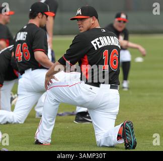 20 février 2014 - Jupiter, FL, USA - Miami Marlins lanceur Jose Fernandez lors d'un entraînement de pré-saison au Roger Dean Stadium à Jupiter, Floride, le jeudi 20 février 2014. (Crédit image : © David Santiago/MCT/ZUMAPRESS.com) Banque D'Images