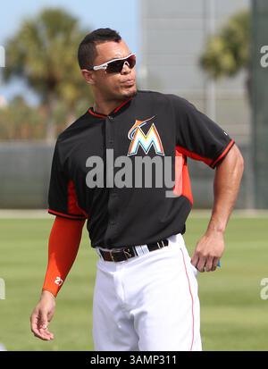 20 février 2014 - Jupiter, FL, USA - le rival des Miami Marlins Giancarlo Stanton lors d'un entraînement de pré-saison au Roger Dean Stadium de Jupiter, Floride, le jeudi 20 février 2014. (Crédit image : © David Santiago/MCT/ZUMAPRESS.com) Banque D'Images