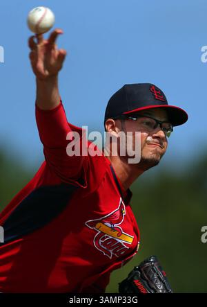 Feb. 20, 2014 - Jupiter, FL, USA - le lanceur Louis Cardinals Joe Kelly lance en pratique de frappe lors de l'entraînement de printemps au Roger Dean Stadium à Jupiter, Floride, le jeudi 20 février 2014. (Crédit image : © David Carson/MCT/ZUMAPRESS.com) Banque D'Images