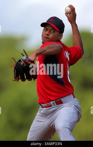 Feb. 20, 2014 - Jupiter, FL, USA - le lanceur Louis Cardinals Carlos Martinez se lance dans la pratique de frappe lors de l'entraînement de printemps au Roger Dean Stadium à Jupiter, Floride, le jeudi 20 février 2014. (Crédit image : © David Carson/MCT/ZUMAPRESS.com) Banque D'Images