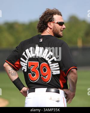 20 février 2014 - Jupiter, FL, USA - Garrod Saltalamacchia, receveur des Marlins de Miami, lors d'un entraînement de printemps au Roger Dean Stadium à Jupiter, Floride, le jeudi 20 février 2014. (Crédit image : © David Santiago/MCT/ZUMAPRESS.com) Banque D'Images