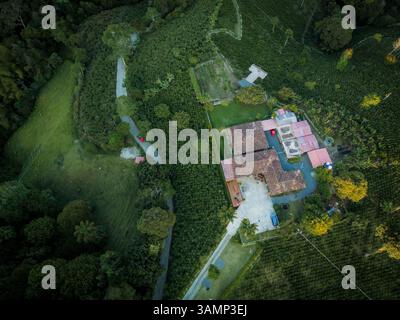 Vue aérienne de la plantation de café luxuriante et de la campagne avec maison isolée, Salento, Colombie. Banque D'Images