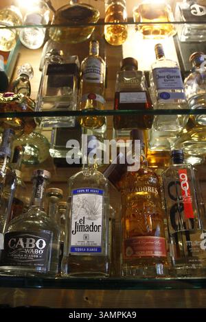 15 janvier 2014 - Tampa, Floride, États-Unis - Une petite sélection de plus de 120 bouteilles de Tequilas de City Dog Cantina...photo Barfly pour la City Dog Cantina à Tampa. (Crédit image : © Luis Santana/Tampa Bay Times/ZUMAPRESS.com) Banque D'Images