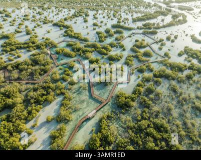 Vue aérienne de Jubail Mangrove, Abu Dhabi, Émirats arabes Unis. Banque D'Images