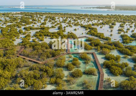 Vue aérienne du parc de randonnée Jubail Mangrove à Abu Dhabi, Émirats arabes Unis. Banque D'Images