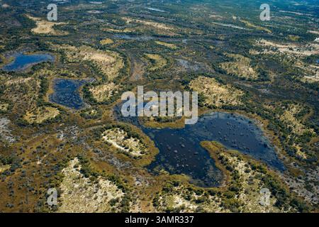 3 mai 2013 - Moremi, Botswana, Afrique - Delta du fleuve à l'extérieur de la réserve animalière de Moremi au Botswana. La réserve animalière de Moremi est un sanctuaire riche et diversifié, qui comprend le delta de l'Okavango. La réserve n'est pas clôturée et les limites sont définies naturellement par les systèmes fluviaux faisant une zone essentielle à visiter lors du voyage au Botswana. La végétation est variée, complétée par des terres humides permanentes et saisonnières de terre sèche, ce qui est excellent pour la faune et les oiseaux. (Crédit image : © Sergi Reboredo/ZUMA Wire/ZUMAPRESS.com) Banque D'Images