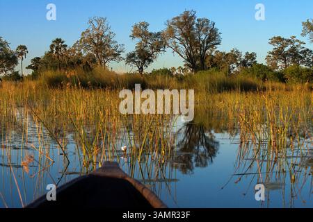 4 mai 2013 - Moremi, Botswana, Afrique - paysage photographié depuis un bateau dans l'eau. Moremi Game Reserve est un parc national du Botswana. Il repose sur le côté est du delta de l'Okavango et a été nommé d'après le chef Moremi de la tribu BaTawana. Moremi a été désignée comme réserve de chasse, et non comme parc national permettant aux BaSarwa ou aux Bushmen de demeurer dans la réserve. (Crédit image : © Sergi Reboredo/ZUMA Wire/ZUMAPRESS.com) Banque D'Images