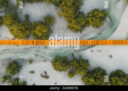 Vue aérienne au-dessus de la jetée en bois traversant Jubail Mangrove Park à Abu Dhabi, Émirats arabes Unis Banque D'Images